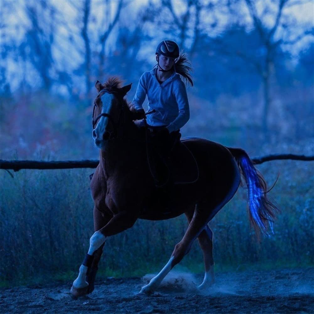 Durable 100CM USB Rechargeable LED Horse Tail Light - Blue Equestrian Harness for Night Riding, Outdoor Sports & Horse Shows | Waterproof & Long-Lasting for Trail Rides, Parades & Evening Training