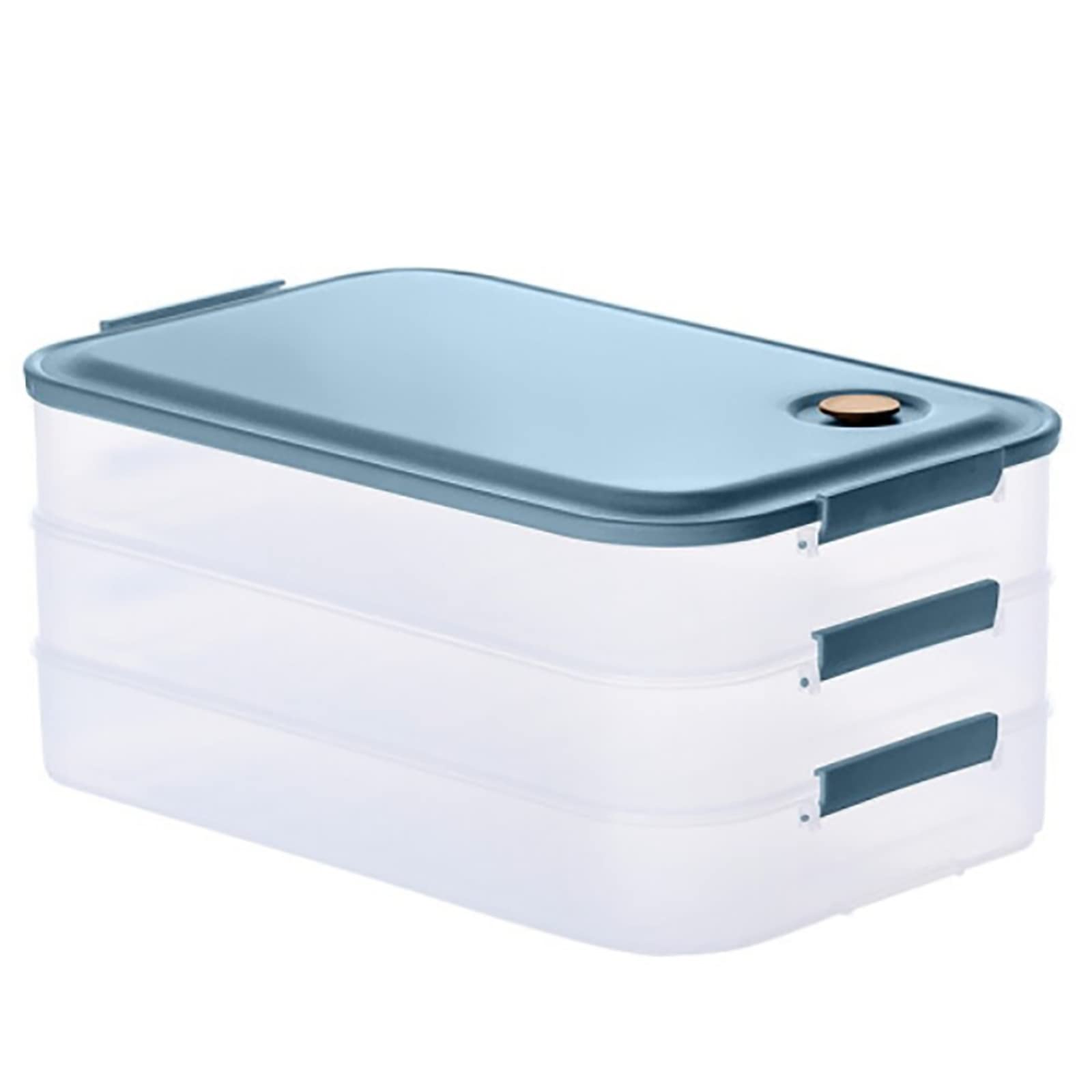 Best Insulated Lunch Box Container Medium - Leakproof & BPA-Free for Work, School & Picnics | Perfect for Adults & Kids