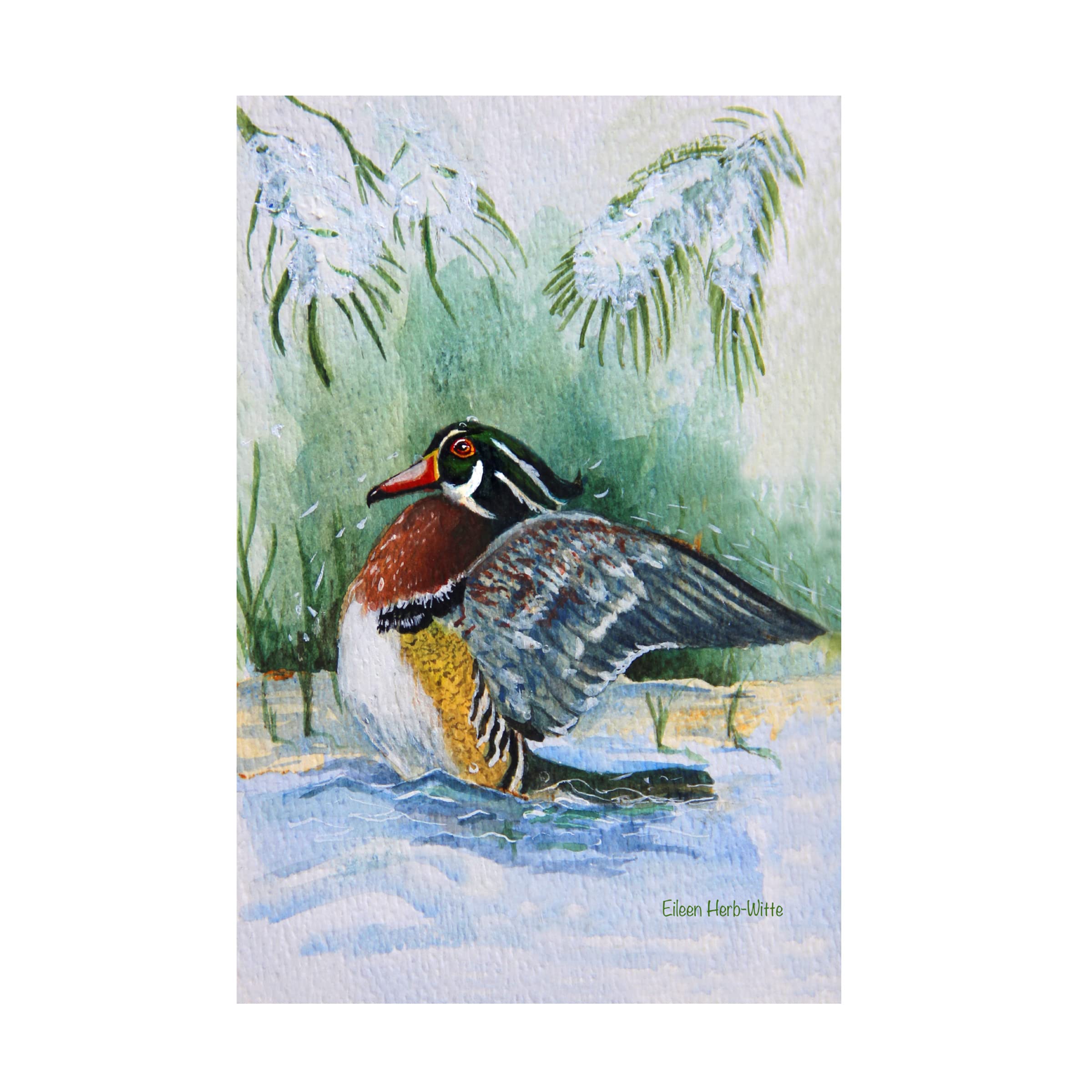 Trademark Fine Art 'Wooduck' Canvas Art by Eileen Herb-Witte - Hand-Painted Duck Wall Decor for Living Room, Bedroom & Office