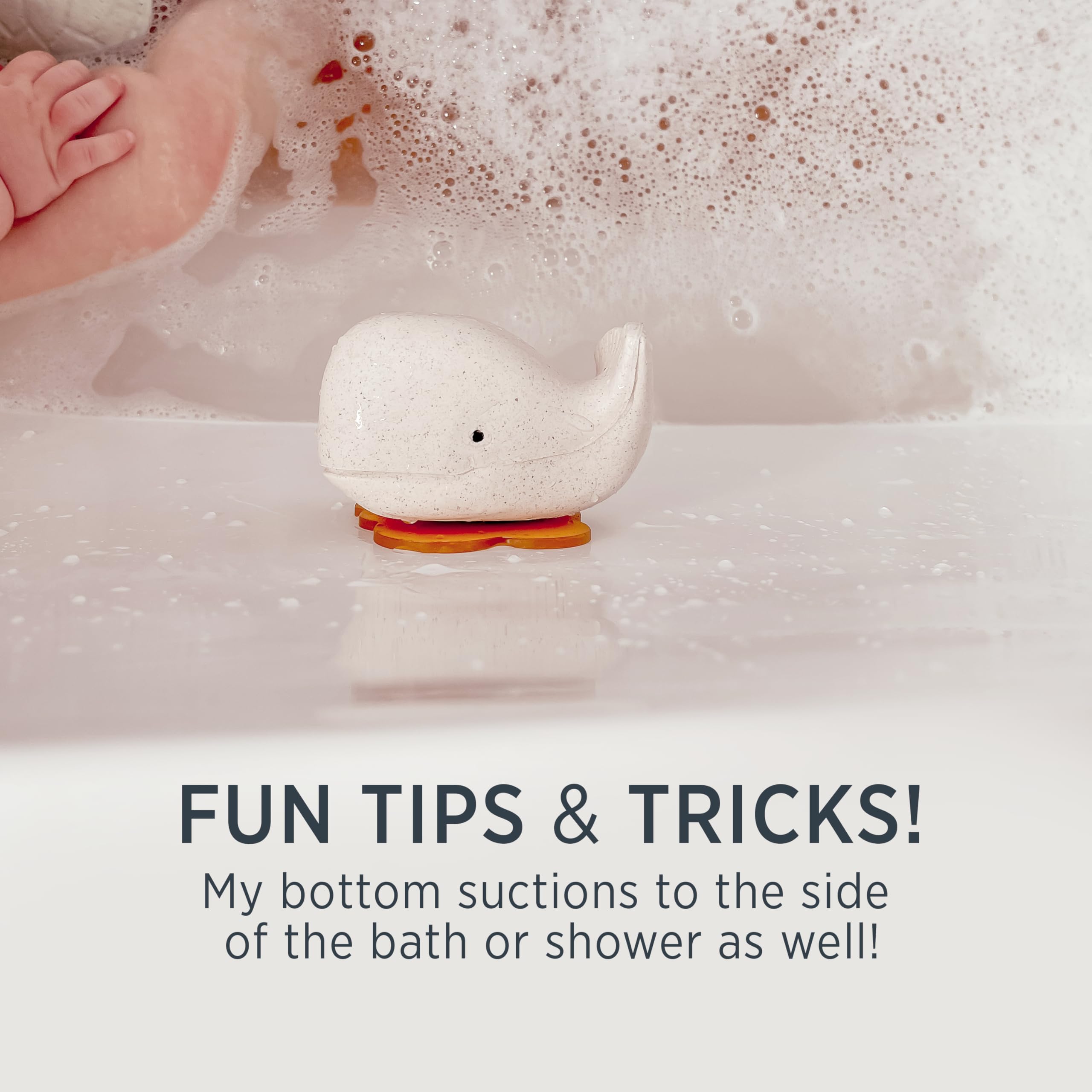 Whale & Turtle Bath Toys Gift Set for Kids - Squeeze'n'Splash Fun Water Play Set - Perfect for Bathtime, Pool Parties & Sensory Play