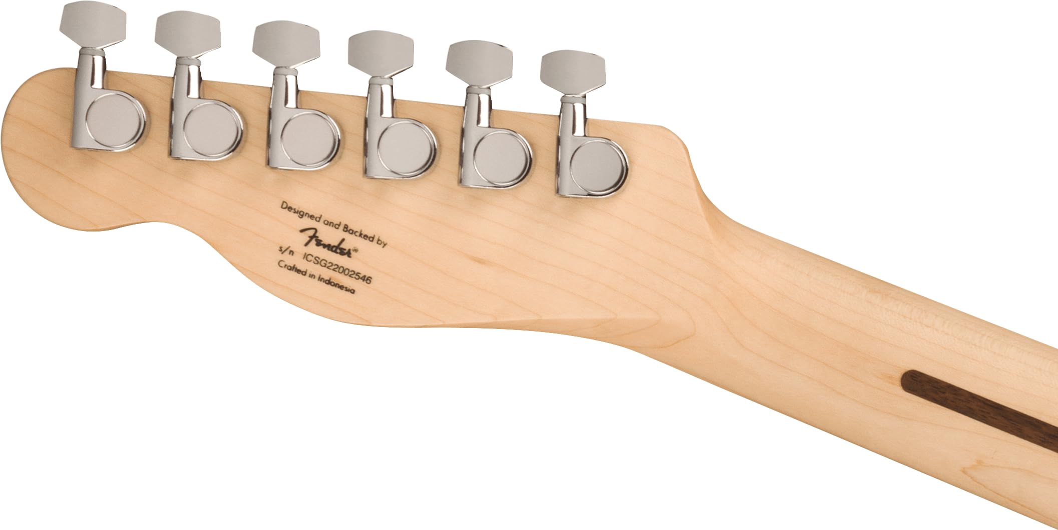Squier 6 String Solid-Body Electric Guitar for Beginners - Right-Handed, Black (0373452506) | Perfect for Rock, Blues & Practice Sessions