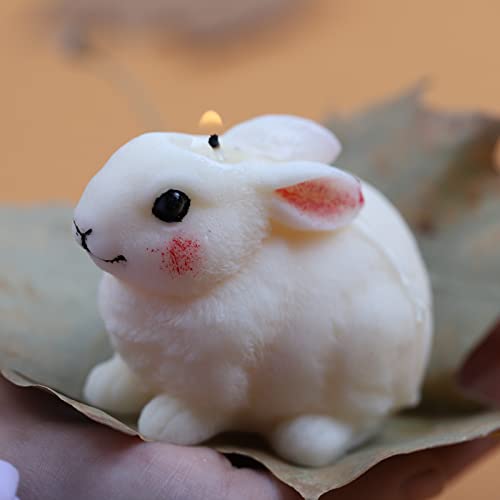dm-rabbit-hairy-small
