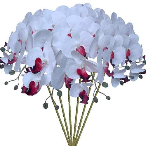 Pure White