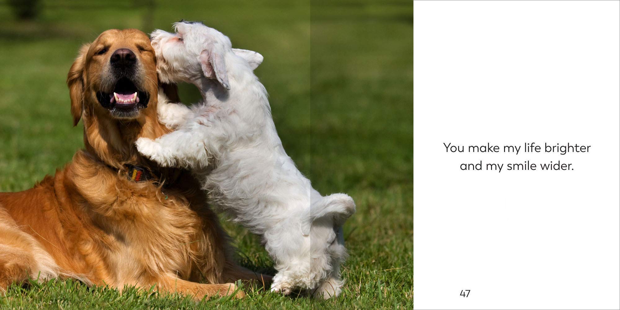 The Little Book of Friendship - Heartwarming Stories & Quotes for Best Friends, Couples & Family - Perfect Gift for Birthdays, Anniversaries & Special Occasions