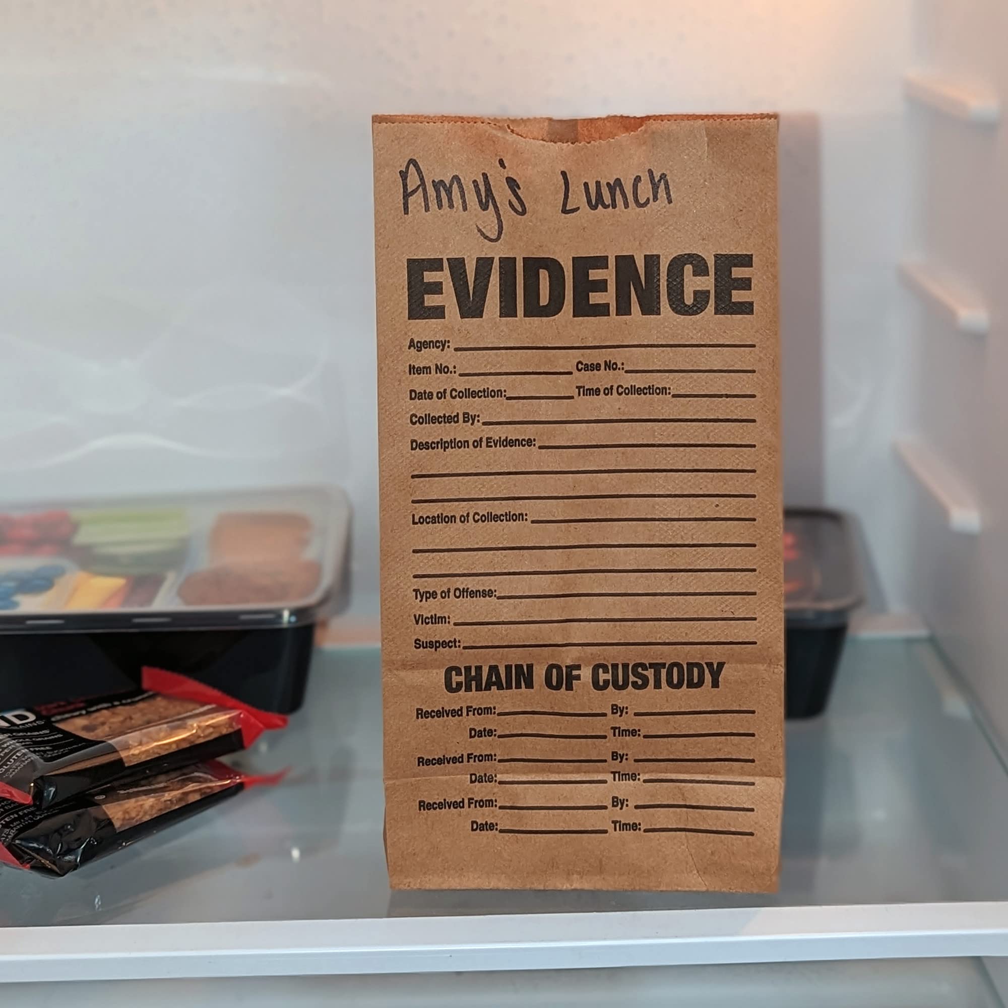 Crime Scene Evidence Bin with 3 Sizes of Paper Evidence Bags - Police & Forensic Supplies for Crime Scene Investigation, Film Production & Training Scenarios