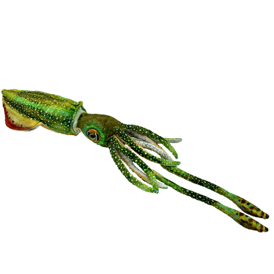 Corey Cuttlefish Squid Plush Toy - Soft & Cuddly Stuffed Animal for Kids, Perfect for Gifts, Bedtime & Nursery Decor