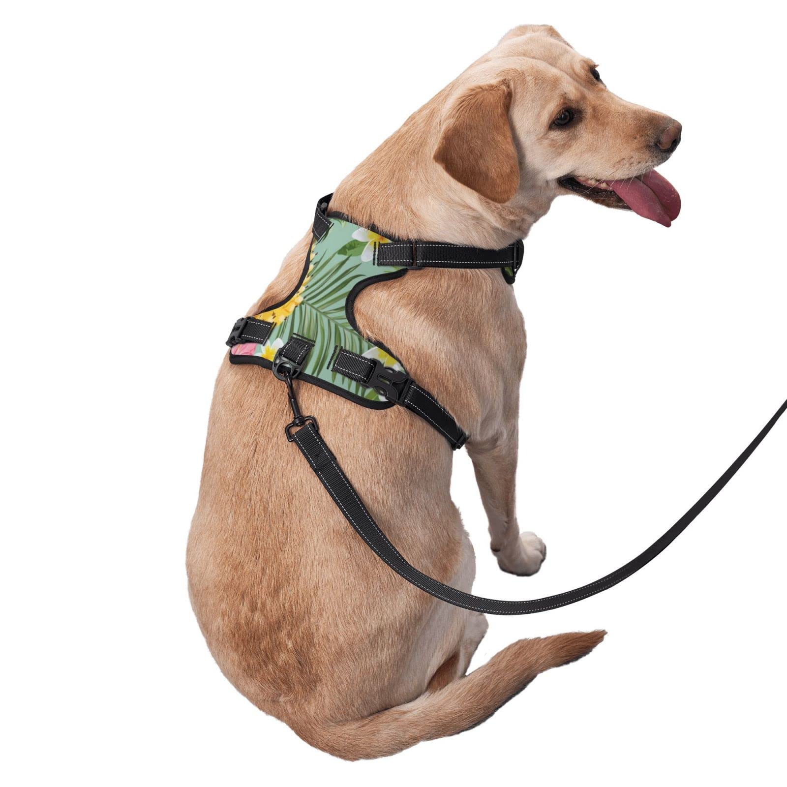 Breathable No-Pull Dog Harness with Leash - Soft Padded Escape-Proof Vest for Training & Outdoor Walking - Floral Hawaiian Pineapple Design - Perfect for Small, Medium & Large Dogs - Great for Hiking, Jogging & Daily Walks