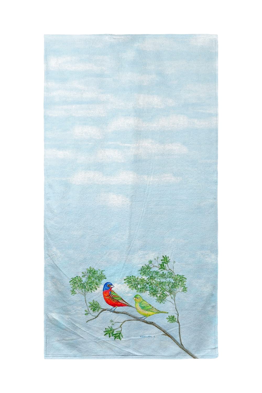 Betsy Drake Pair of Soft & Absorbent Beach Towels - Quick Dry, Lightweight for Pool, Sand & Sunbathing - Perfect for Beach Vacations, Summer Outings & Outdoor Activities