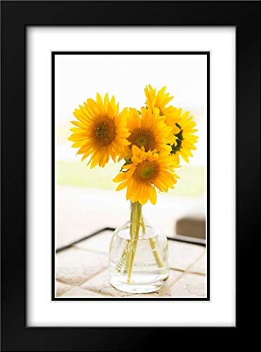 Black Modern Wood Frame with Double Matting
