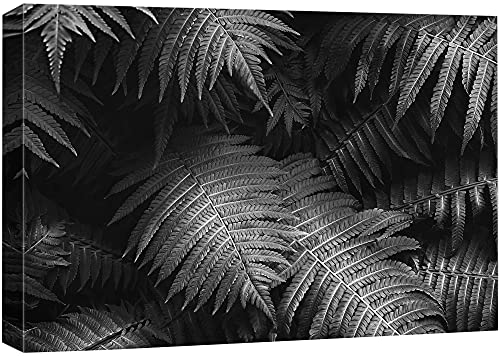 Bs02-leaves-na03