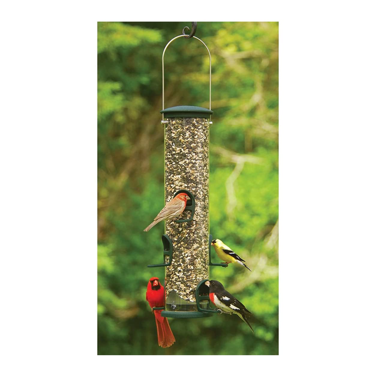 Aspects 421 Spruce Quick Clean Big Tube Bird Feeder - Large Green Squirrel-Proof Design for Backyard, Garden & Outdoor Bird Watching