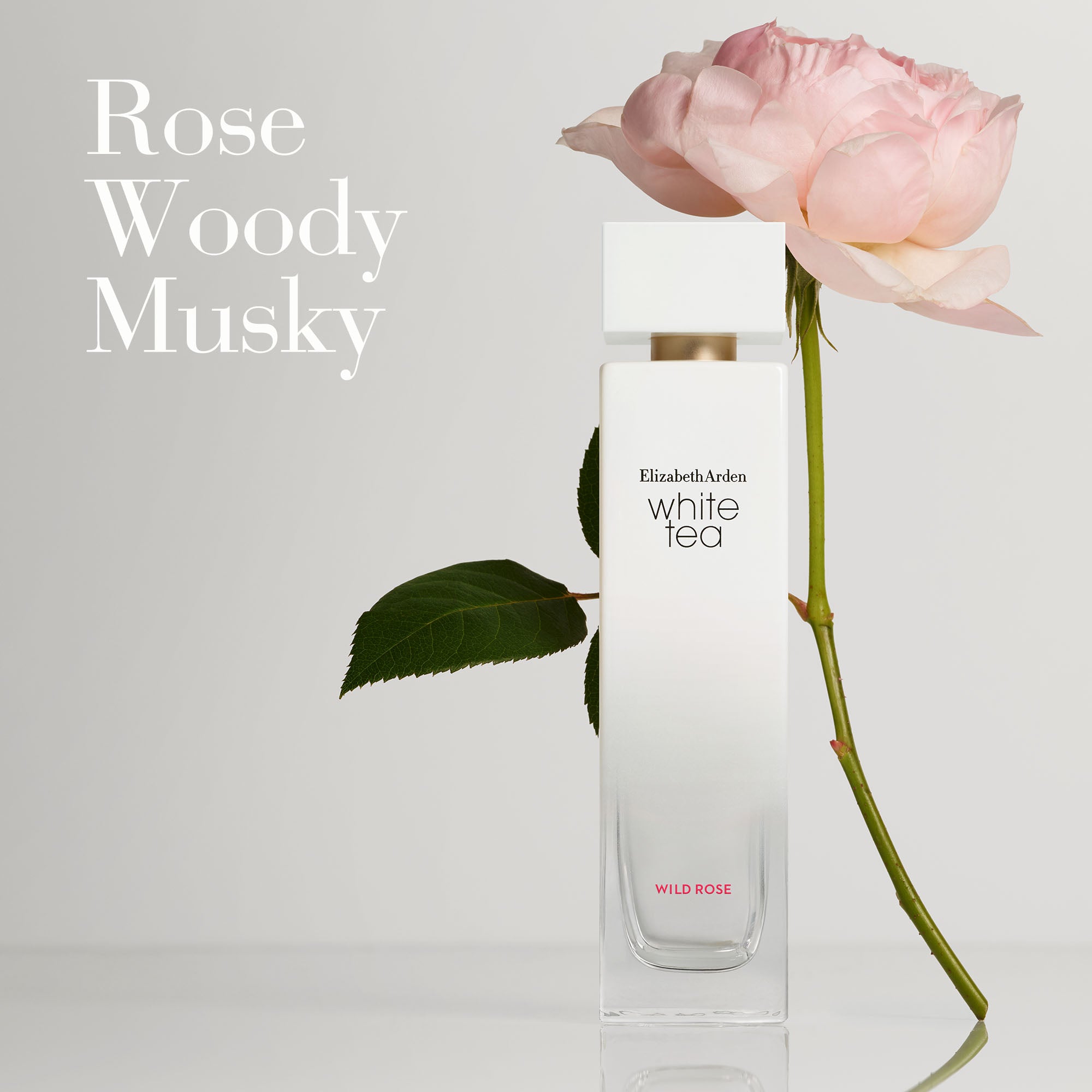 White Tea Wild Rose Eau De Toilette Spray for Women - Fresh Floral Fragrance Perfume | Perfect for Daily Wear, Date Night & Special Occasions