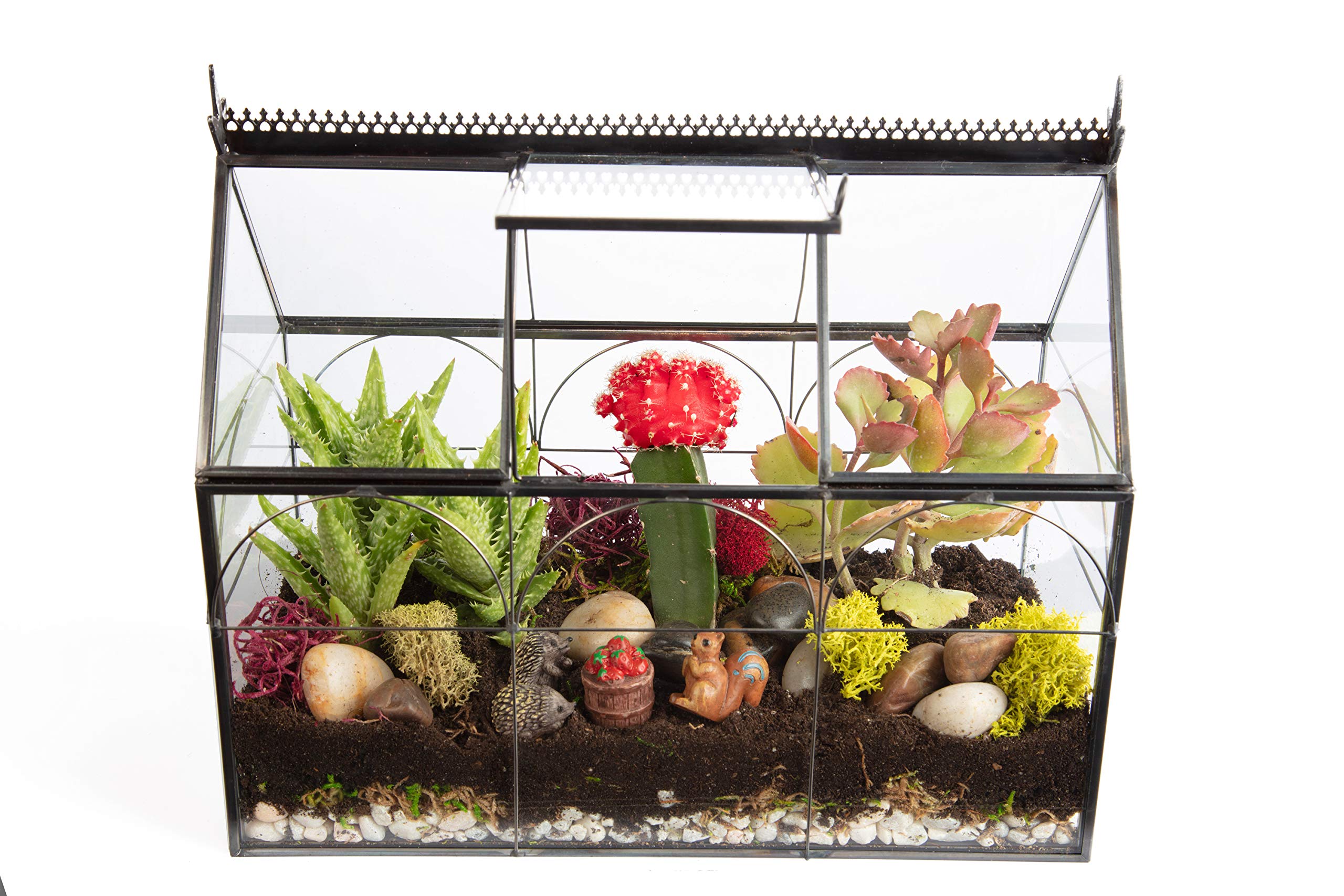 Decorative Glass Greenhouse Terrarium (10x4.5x9 Inches) - Indoor Tabletop Black Hinged Geometric Planter for Succulents, Air Plants, Moss & Ferns - Modern Home, Office & Garden Decor - Perfect Gift for Plant Lovers - Ideal for Windowsills, Desks & Shelf Displays