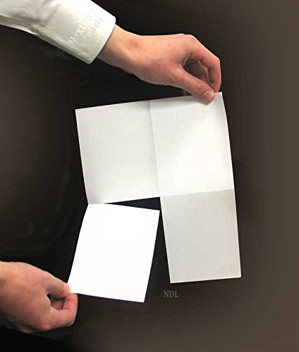 NextDayLabels - 8.5 x 11 Inch Laser & Inkjet Printer Postcards - 4 Up Per Page (4.25