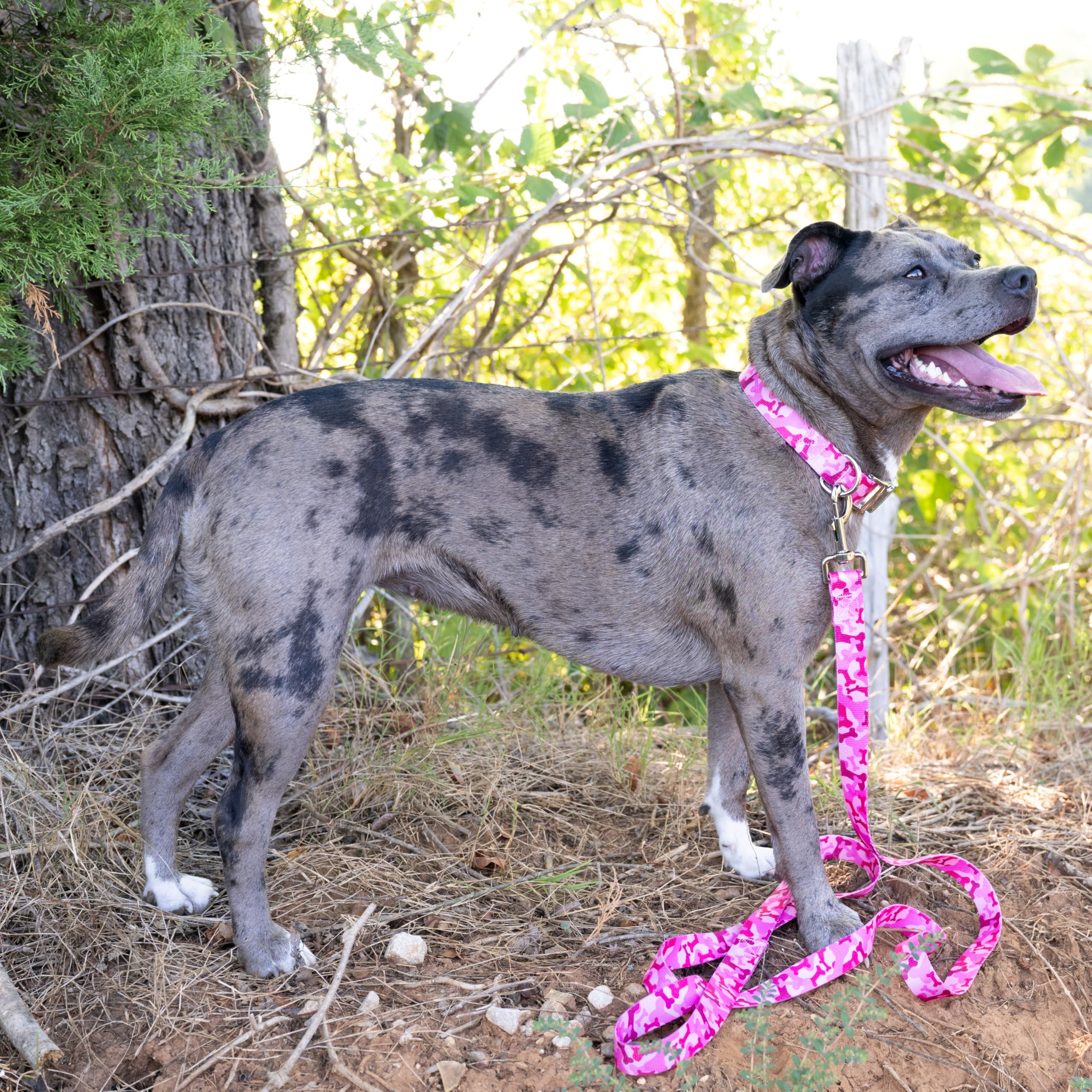 Country Brook Design® 1 Inch Pink Camo Dog Leash - 6 Feet Strong Nylon Pet Lead for Walking, Training & Outdoor Adventures