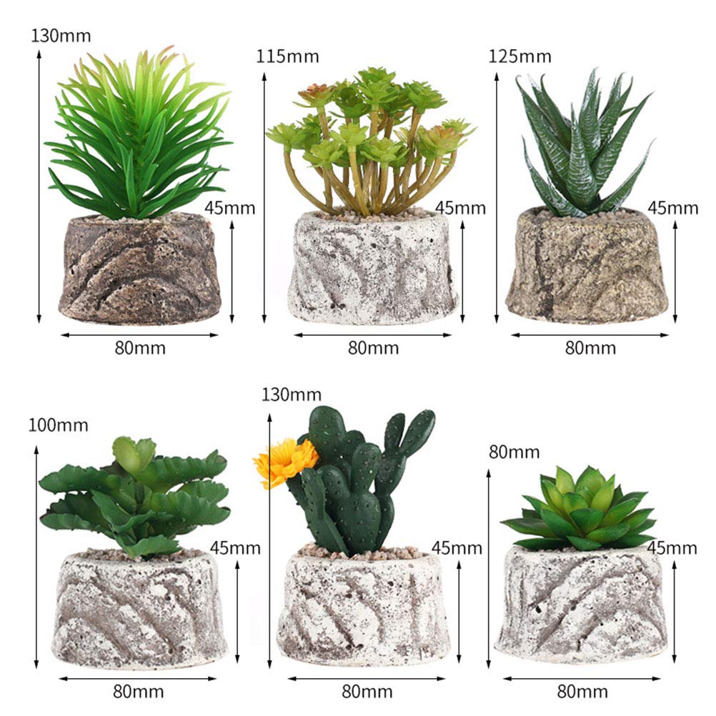 VICASKY Decorative Succulent Plant Pots - Ceramic Flower Pots for Cactus, Aloe Vera, Small Plants - Perfect for Home, Office, Garden Decor and Gift Ideas