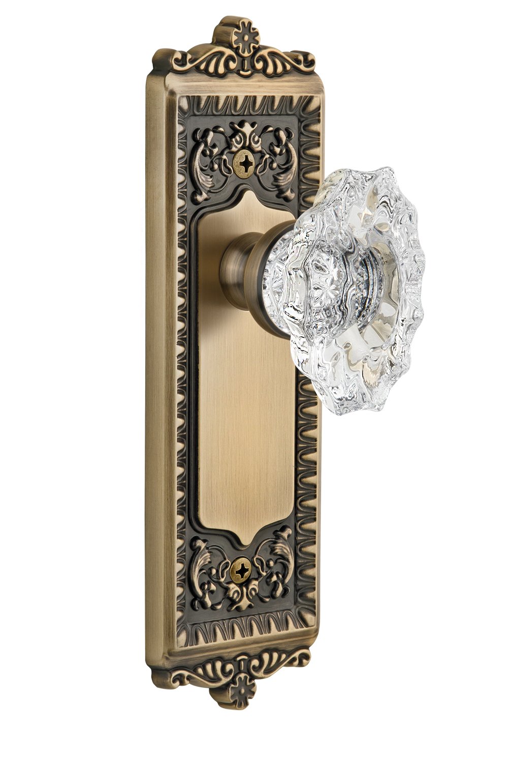 Vintage Brass Grandeur Windsor Plate with Biarritz Knob - Double Dummy Door Handle Set for Classic Home & Office Interior Design