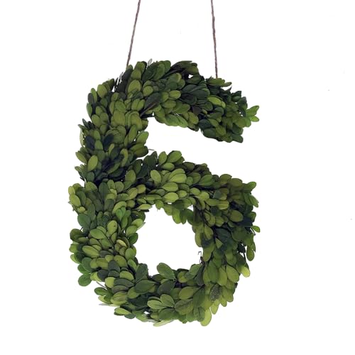 Green-6