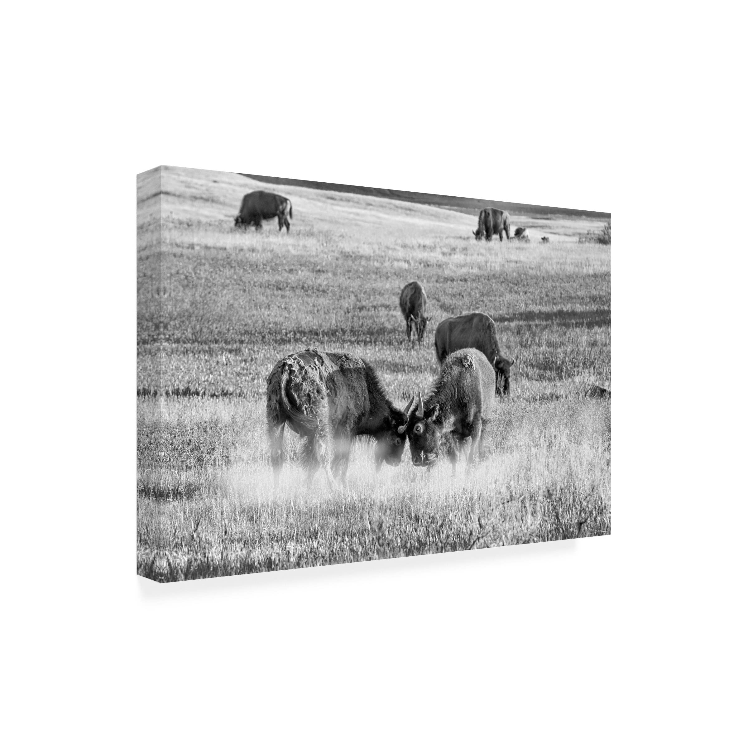 Gordon Semmens 'Enter the Badlands BW 24' Black & White Canvas Art Print - 16x24 Inches - Modern Wall Decor for Living Room, Bedroom & Office - Trademark Fine Art Collection