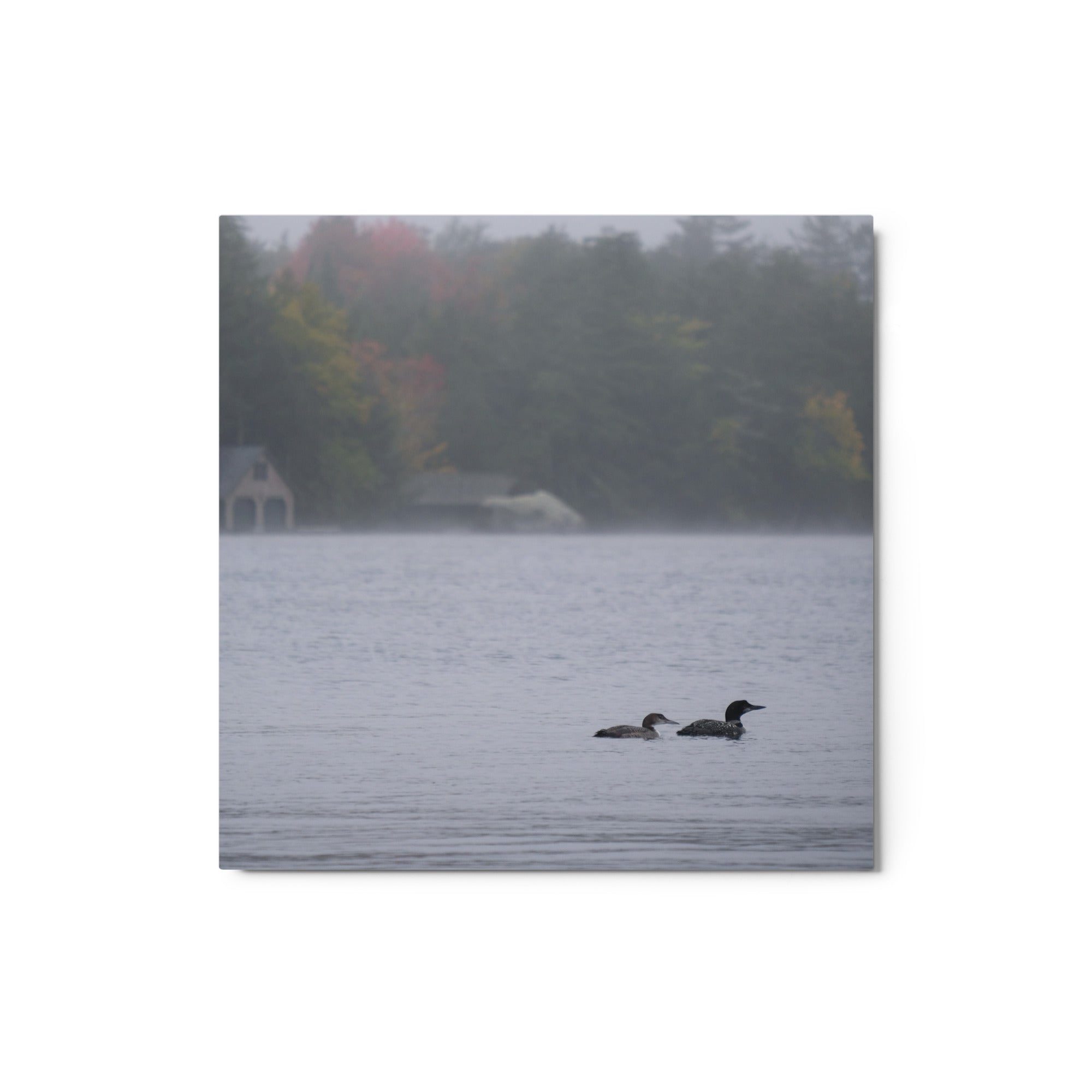 Moody Autumn Loon Metal Wall Art Print - Rustic Home Decor for Living Room, Bedroom & Office