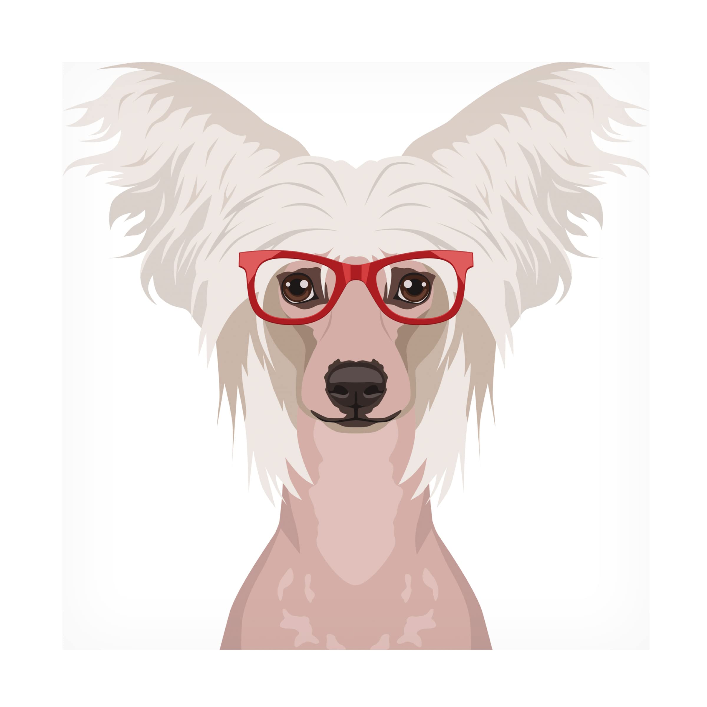Trademark Fine Art 'Chinese Crested Dog Wearing Hipster Glasses' Canvas Wall Art - Modern Pet Portrait for Living Room, Bedroom & Office Decor