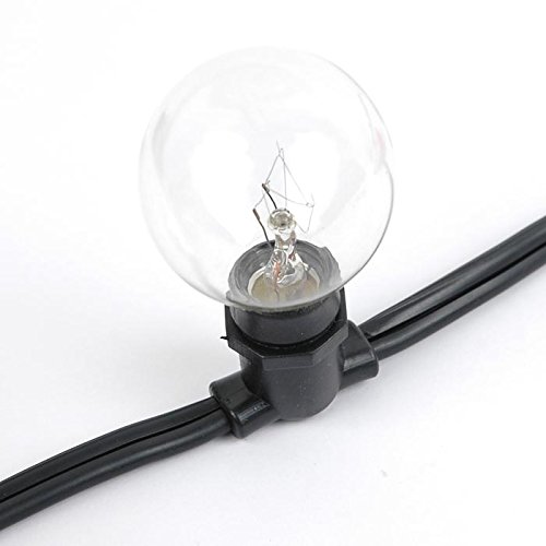 100' E12 Globe Outdoor String Lights - Commercial Grade, In-Line Black Wire with 100 Sockets - Perfect for Backyard, Garden, Gazebo, Cafe, Market & Patio Lighting Decorations