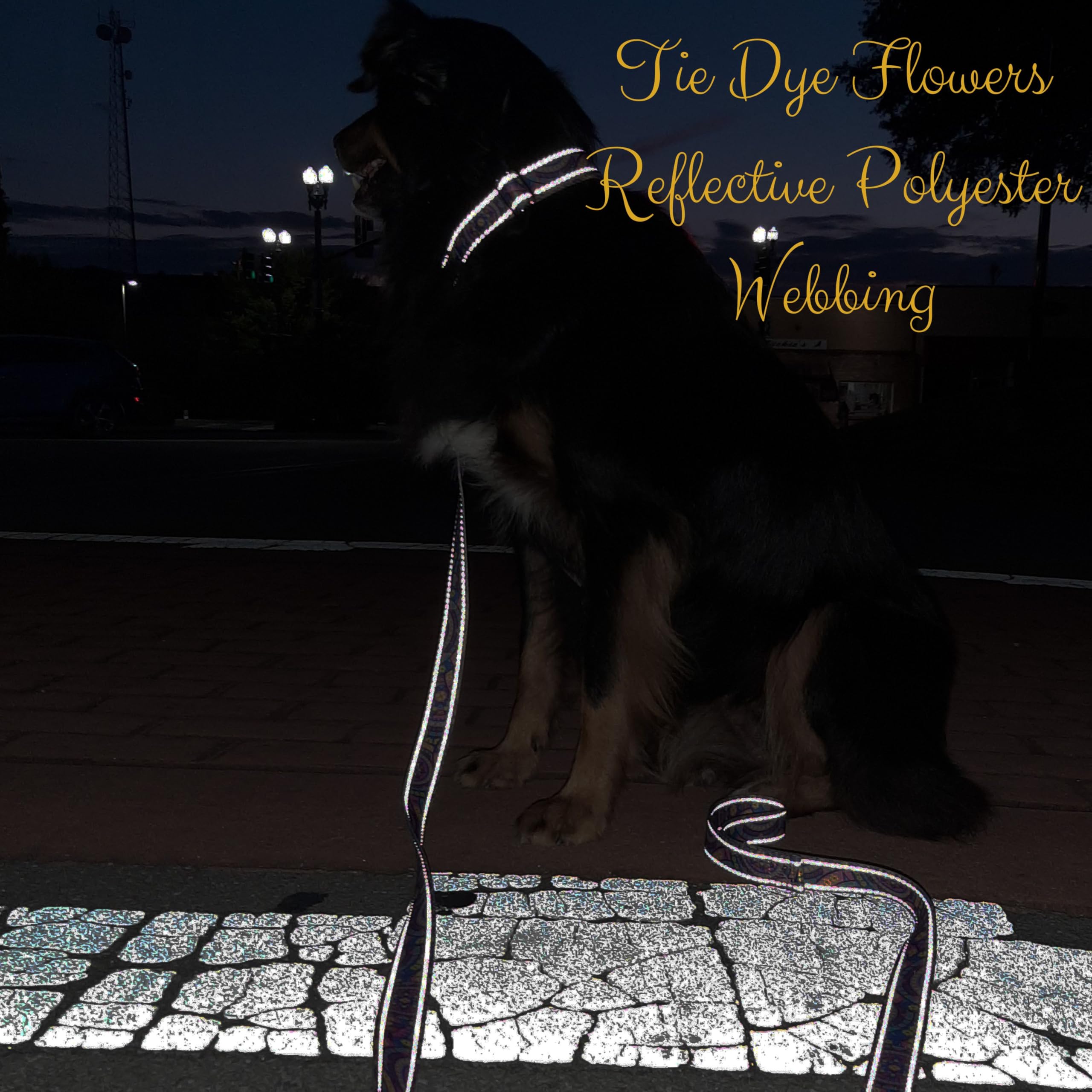 Country Brook Design - Reflective Polyester Webbing with Tie Dye Flowers for Dog Collars, Leashes & Outdoor Gear - High Visibility Safety Accessories for Night Walks & Hiking