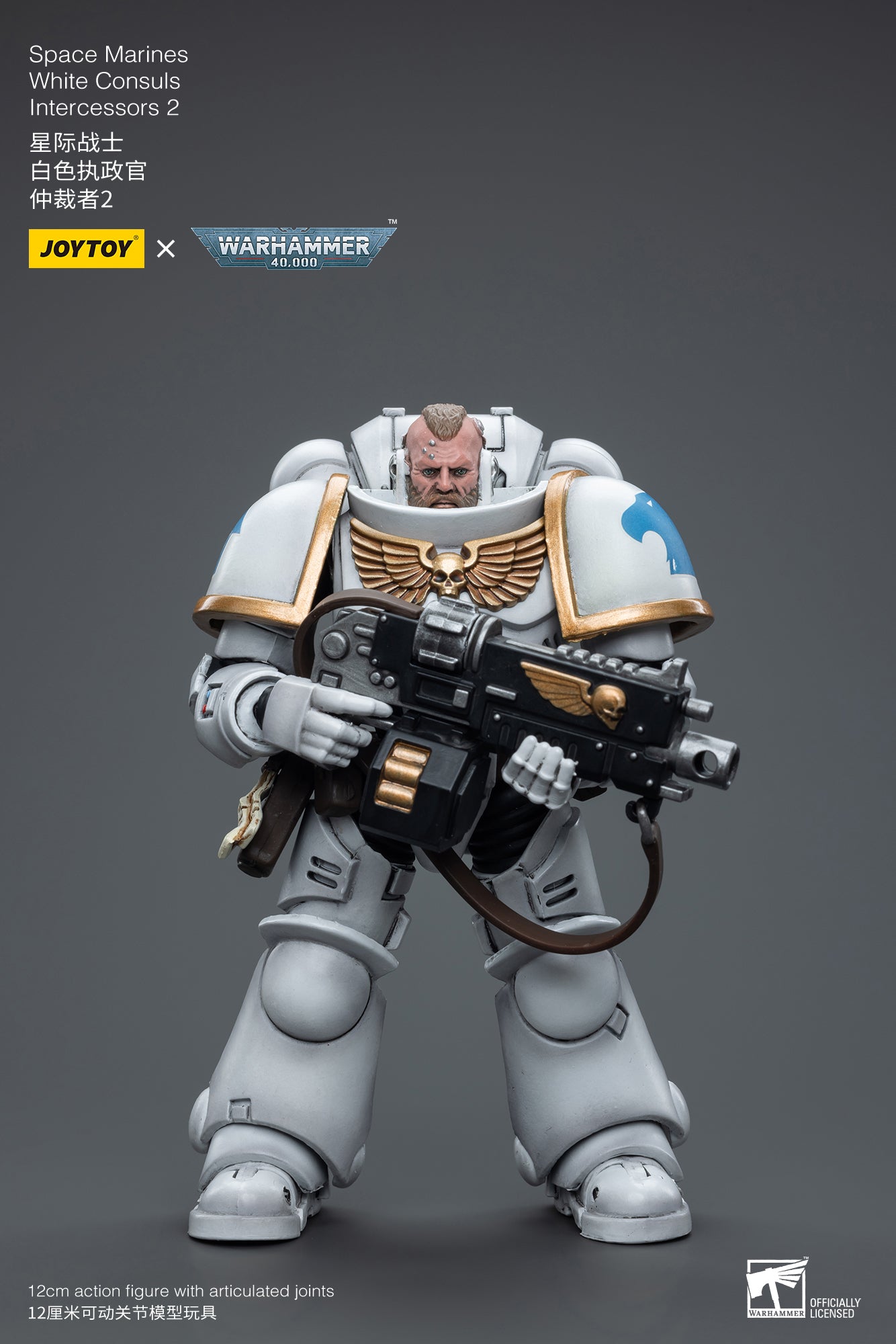 1/18 JOYTOY Warhammer 40K Space Marines White Consuls Intercessors Action Figure - Collectible Miniature for Tabletop Gaming & Display