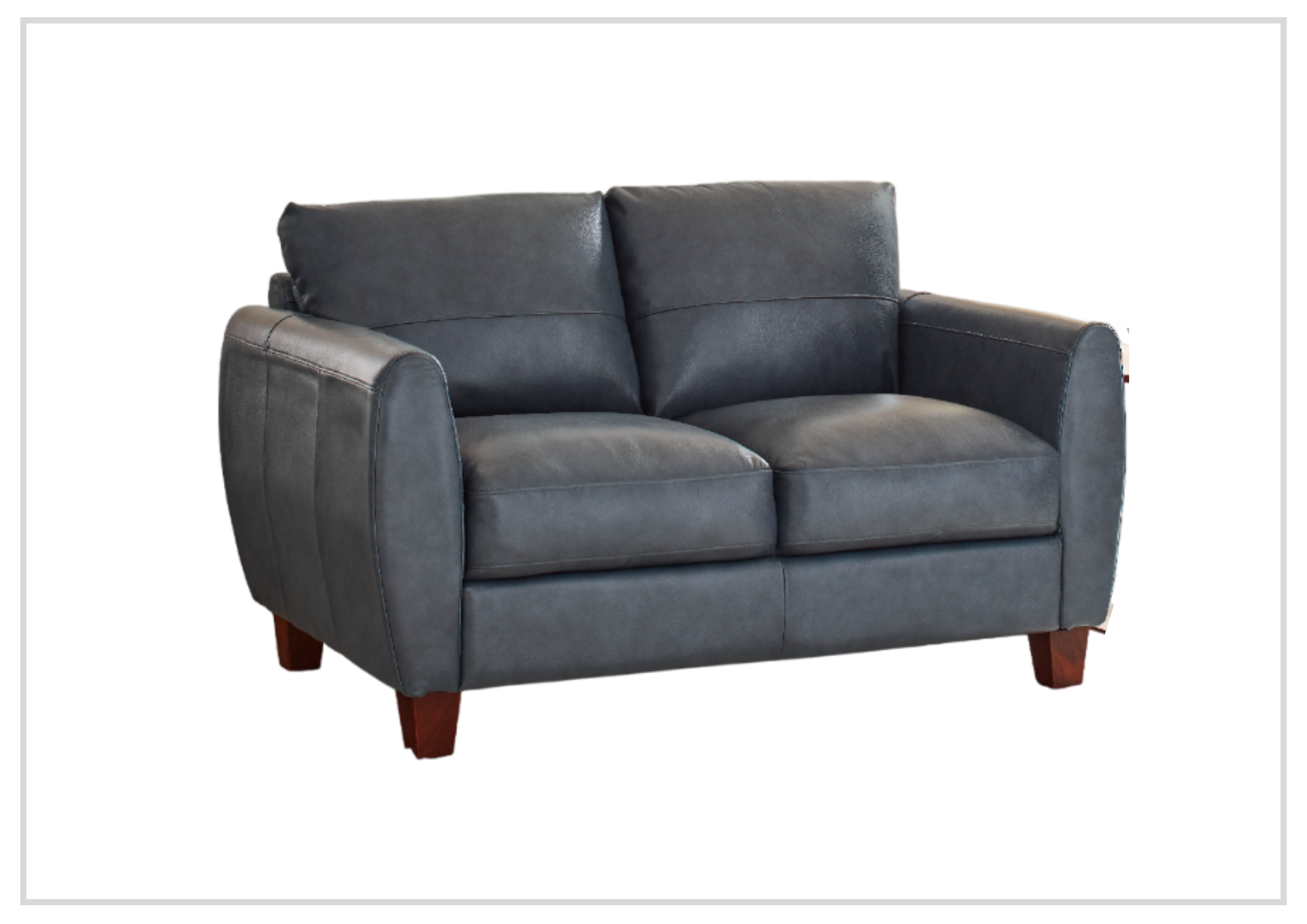 Gio Italia Home Tirano Genuine Leather 2-Seater Sofa in Bluish Gray - Modern Living Room Furniture for Small Spaces & Apartments