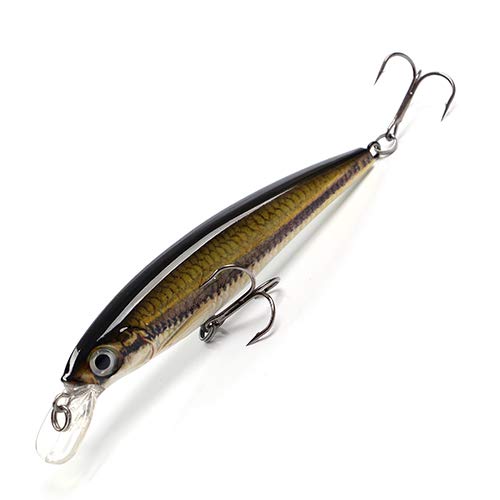 HXSCOO 12g Floating Swimbait Hard Bait Minnow Fishing Lure with 3D Eyes - 10cm Jerkbait Wobblers for Bass, Trout & Freshwater Fishing - Perfect for Crankbaits, Twitching & Casting Techniques