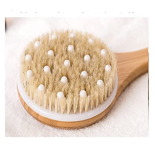 Dry Body Brush for Exfoliation & Cellulite Removal - Lymphatic Drainage Massage Brush with Long Handle for Back Reach - Softens Skin & Improves Blood Circulation - Perfect for Spa, Self-Care & Dry Brushing Routine at Home