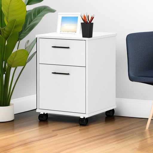 Bush Furniture Key West 2-Drawer Mobile File Cabinet - Rolling Office Storage Cabinet for Home & Workspace | Perfect for Organizing Documents in Small Spaces & Mobile Workstations