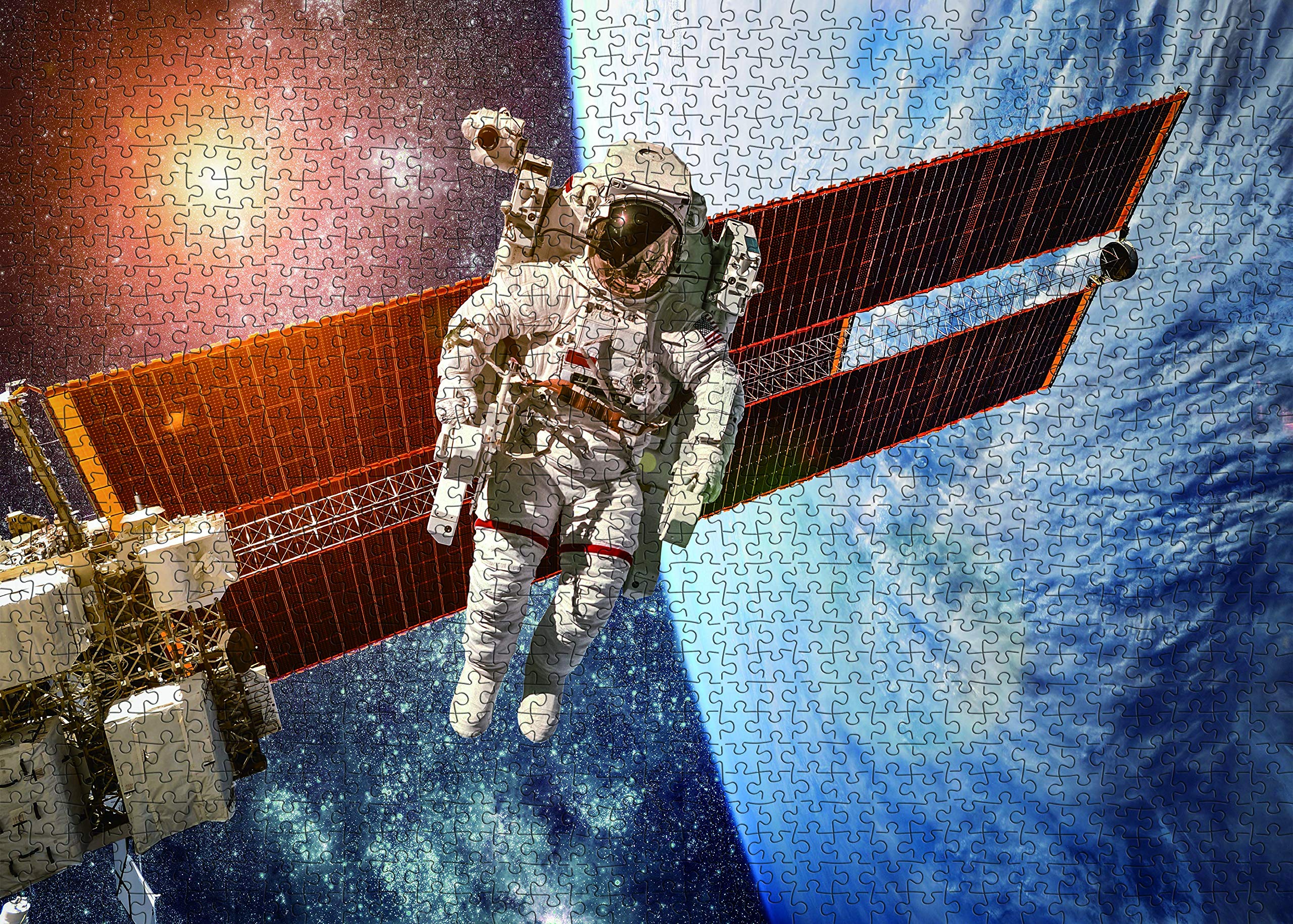 1000 Piece Space Jigsaw Puzzle for Adults - NASA Astronaut & Galaxy Puzzle with Fun Fact Poster, 20x27 Inches | Challenging Brain Teaser for Space Enthusiasts, Perfect for Family Game Night & STEM Education