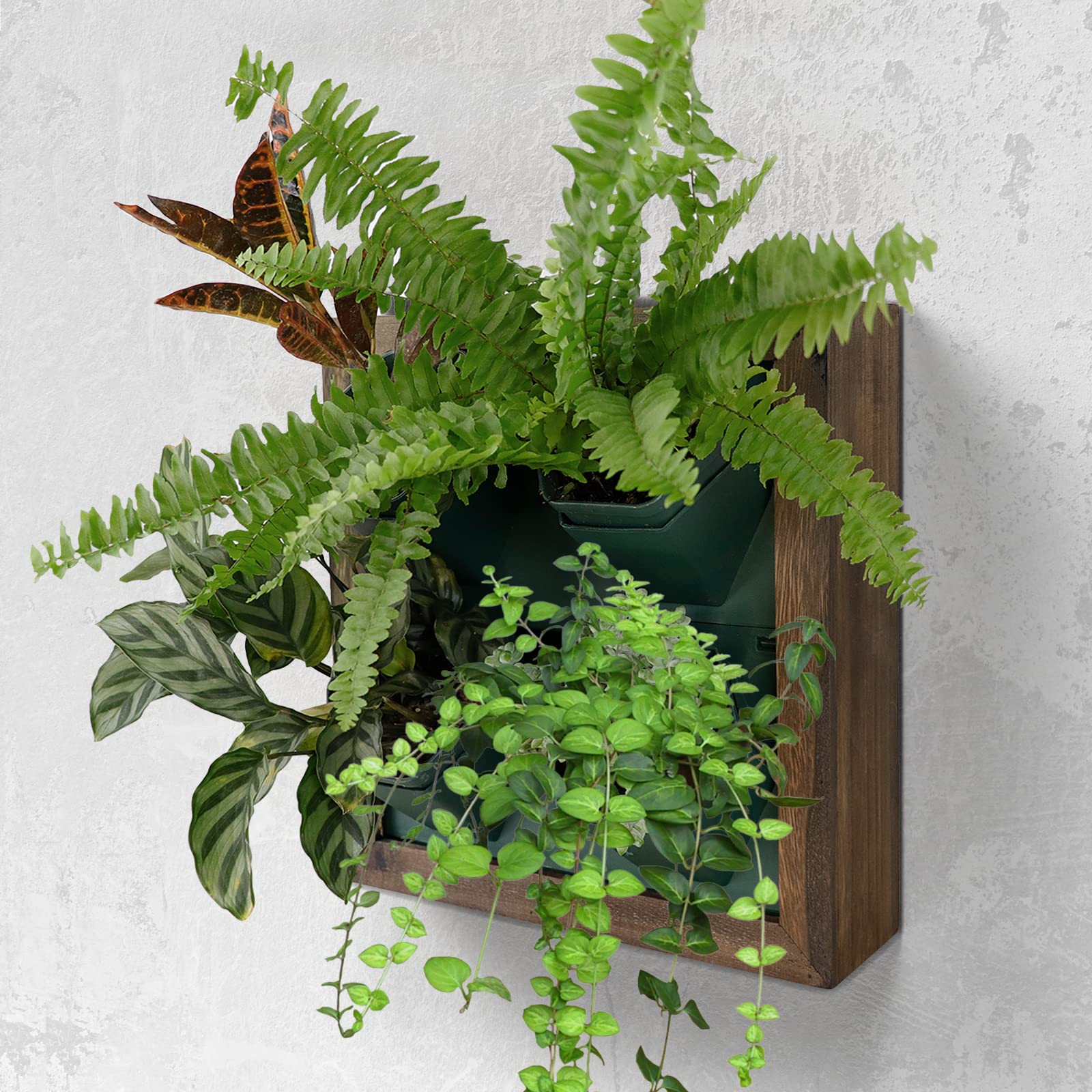 Vertical Wall Planter with 4 Self-Watering Pots - Indoor Wooden Frame Living Wall Planter for Home & Office Decor - No Screws Needed - Perfect for Small Spaces, Balconies & Urban Gardening