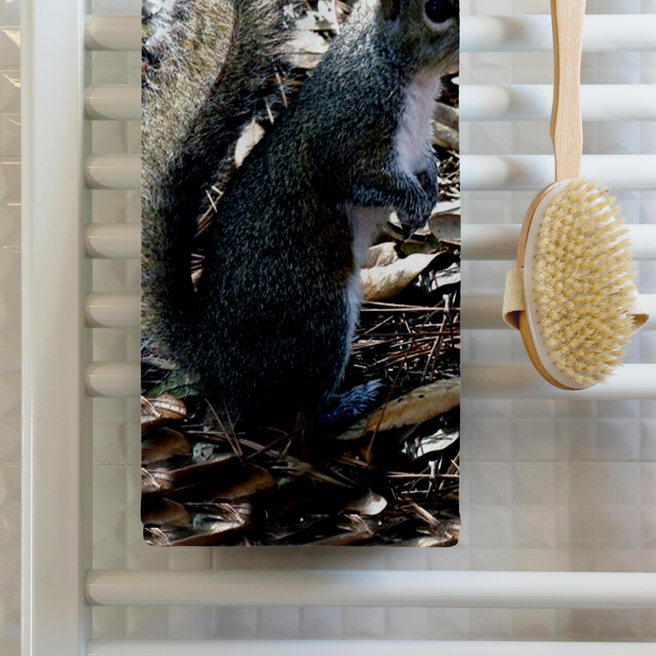 3D Rose Gray Squirrel Printed Kitchen Towel Set - 15x22 Inches Absorbent Dish Cloths for Drying Hands & Dishes - Cute Animal Themed Home Decor for Kitchen, Bathroom, and Gift Giving