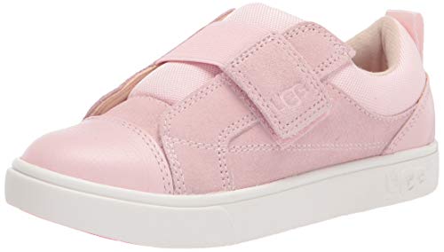 Seashell Pink