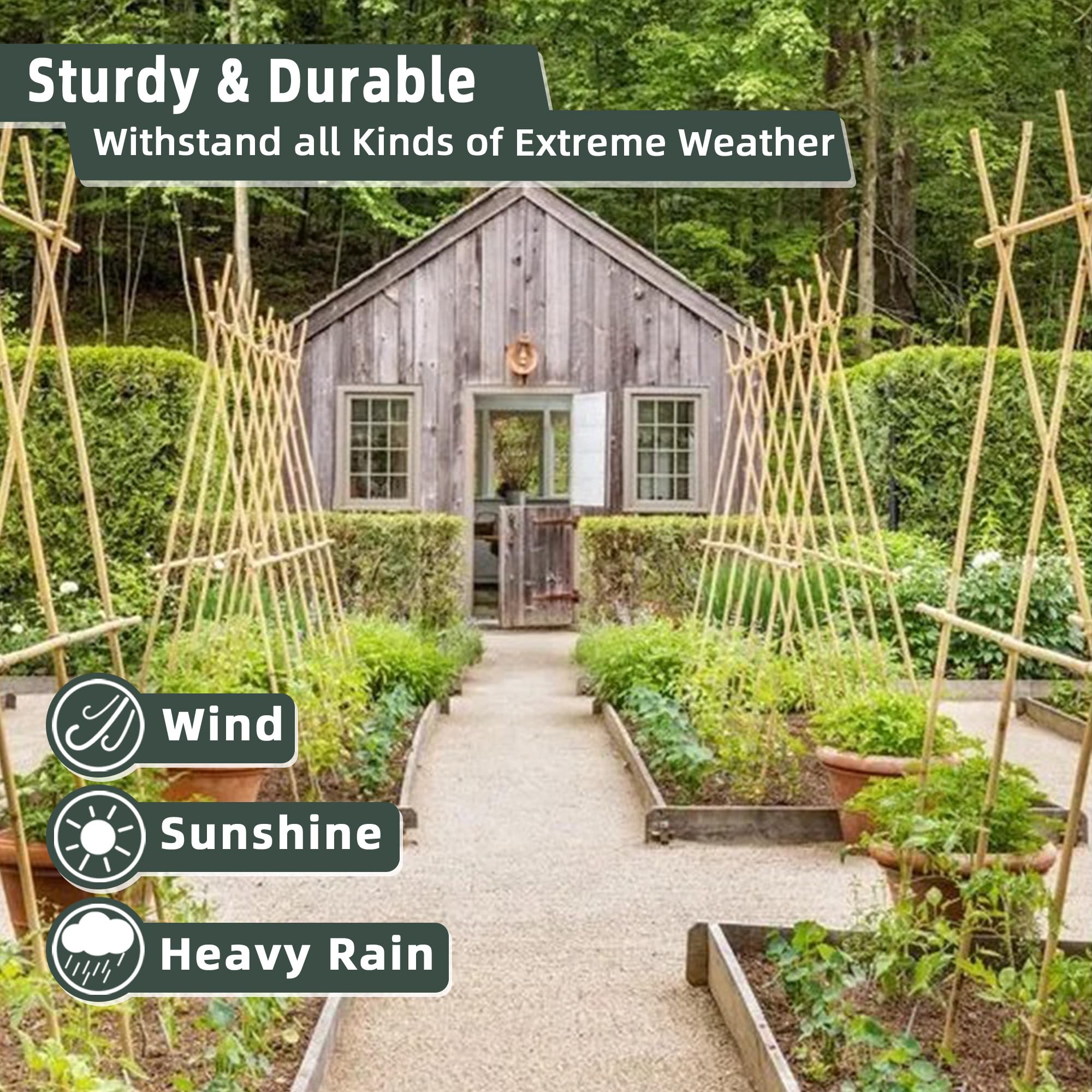 50Pcs 18 Inch Bamboo Stakes for Plants - Natural Garden Support Sticks for Tomatoes, Vegetables, Beans & Climbing Plants (0.32