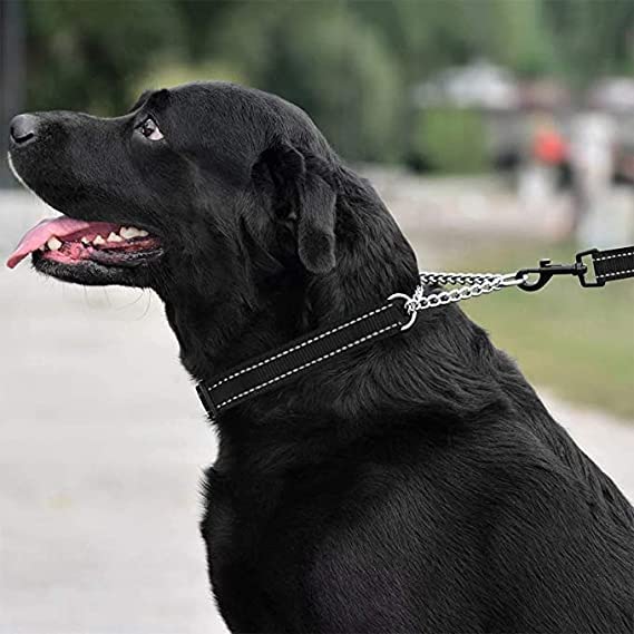 SR VISION Non-Toxic Adjustable 18-24 Inch Dog Collar with Padded Handle - Half Nylon Half Stainless Steel for Large Breed Dogs - Perfect for Training, Walking & Outdoor Adventures (Large, Black)