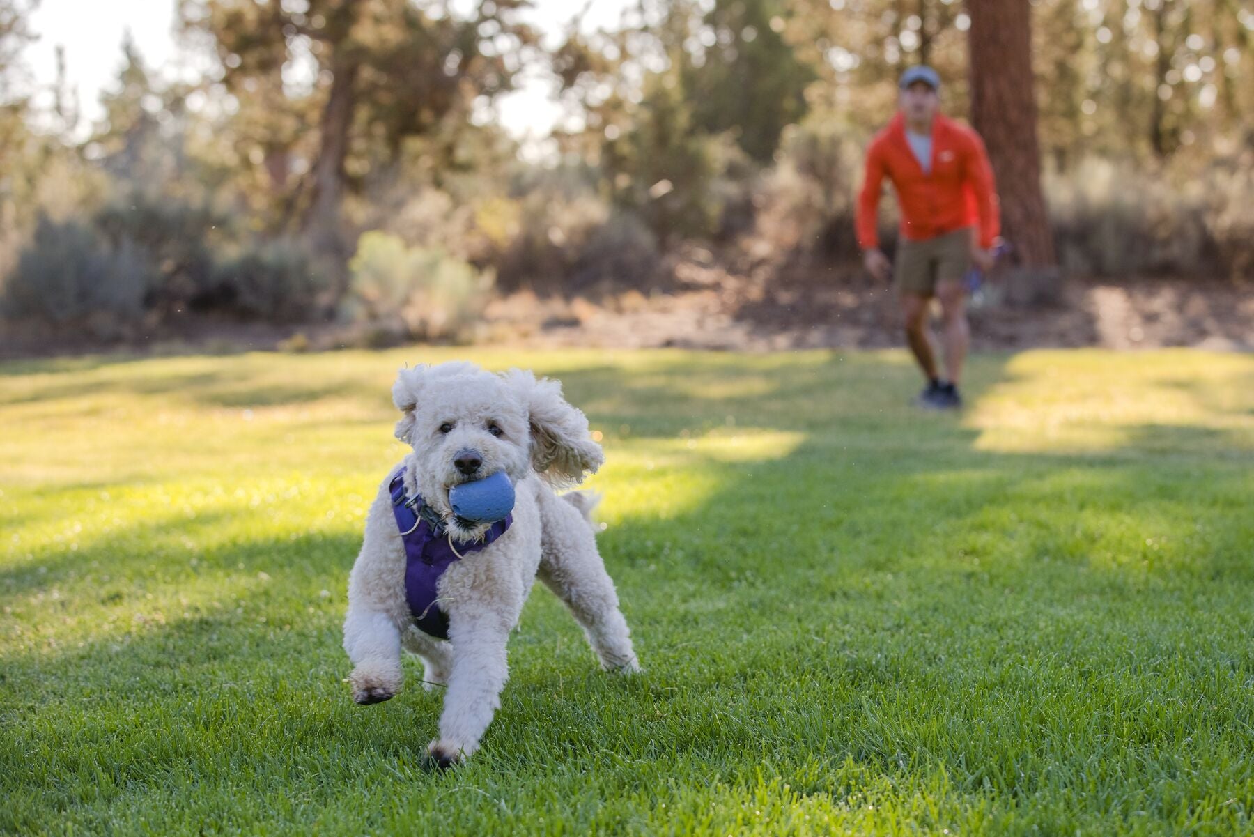 Ruffwear Huckama Fetch Ball for Dogs - Mint Green (Sage Green) | Durable Outdoor Dog Toy for Fetch, Training & Beach Play | Water-Resistant Floating Ball for Active Dogs