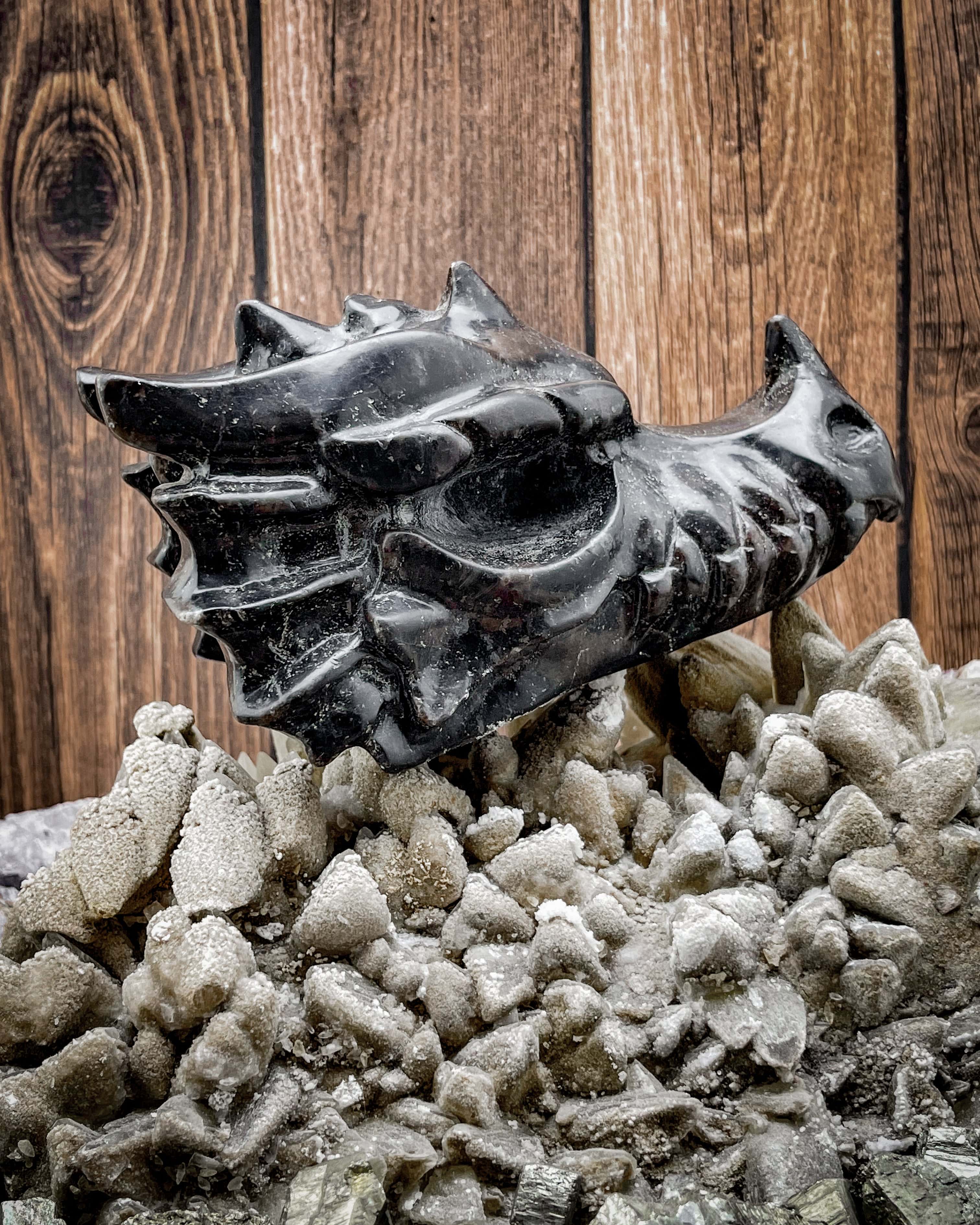 Astrophyllite Dragon Head Pendant - Unique Handmade Crystal Necklace for Spiritual Healing & Energy Protection | Perfect for Meditation, Yoga & Gift Giving