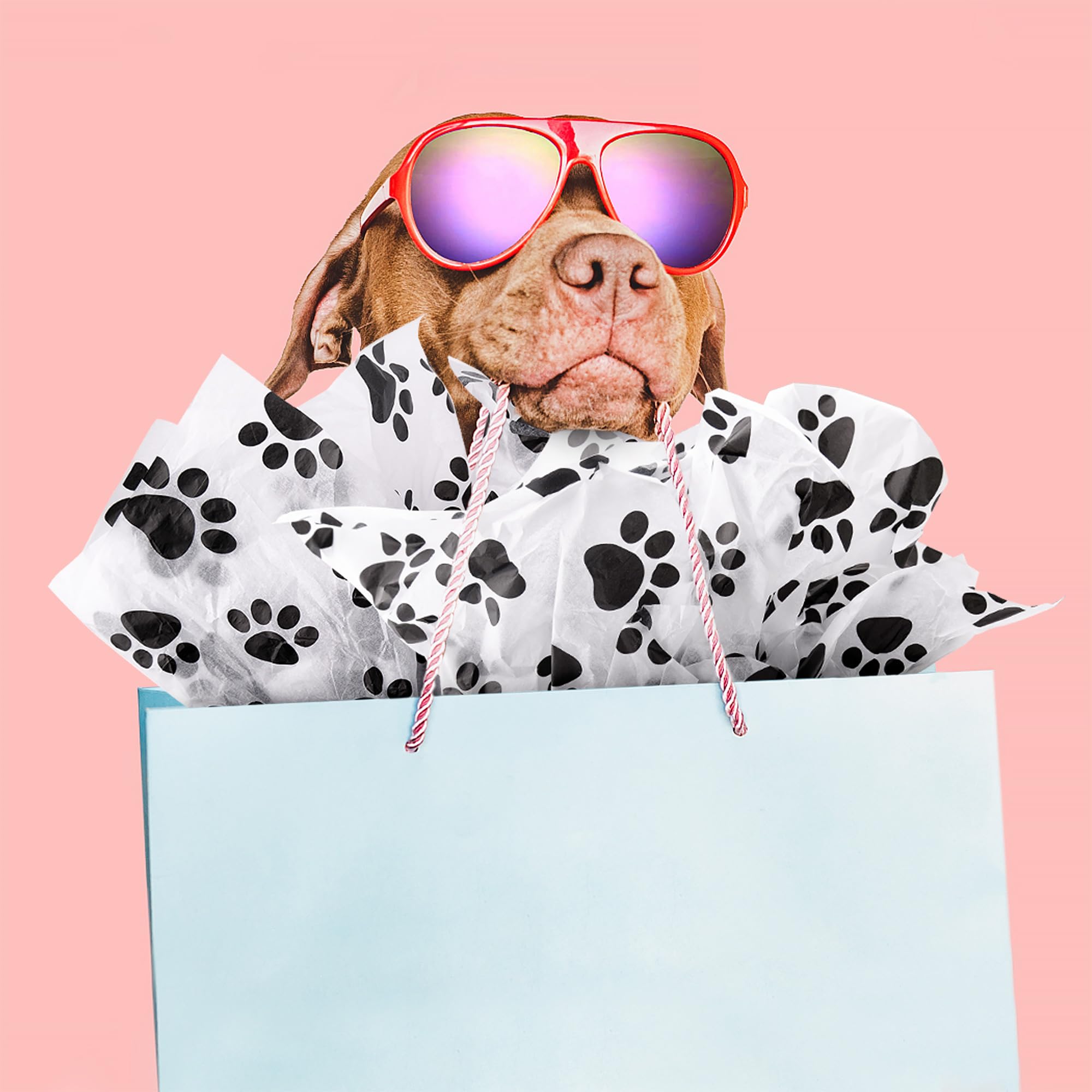 Hi Sasara 30 Sheets Large 20 x 28 Inch Black and White Dog Paw Print Tissue Paper Bulk Pack - Perfect for Gift Wrapping, Birthday Party Favors, and Holiday Present Bags
