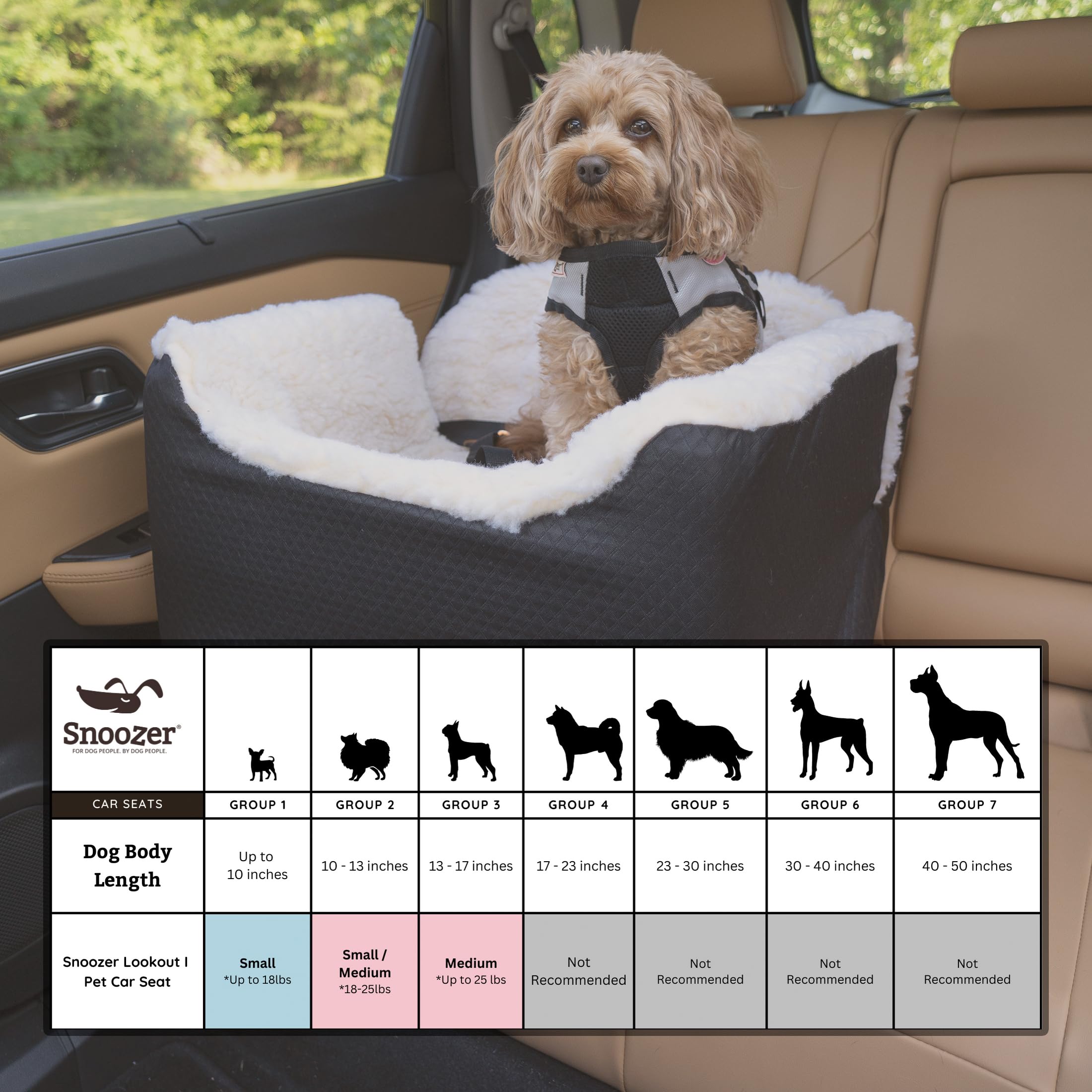 Snoozer Lookout Dog Booster Car Seat for Small Dogs 5-15 lbs - Pet Travel Safety Seat with Harness Strap to Prevent Car Sickness - Black Quilted Removable & Machine Washable Cover - Perfect for Road Trips, Vet Visits & Daily Commutes