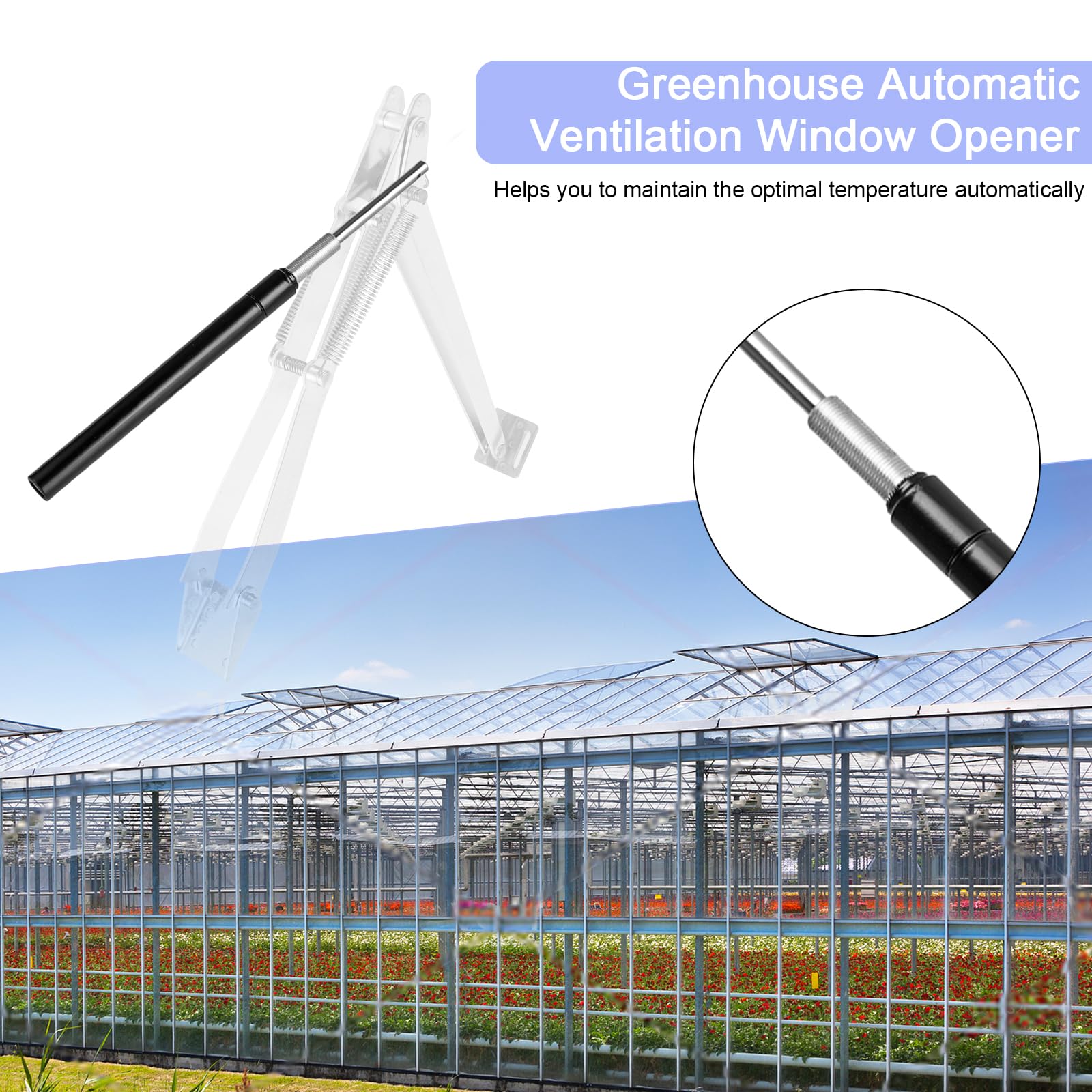 Automatic Greenhouse Window Opener Kit - Dual Spring Solar Heat Sensitive Vent Opener with 2 Hydraulic Cylinders for Greenhouses, Garden Sheds & Plant Nurseries