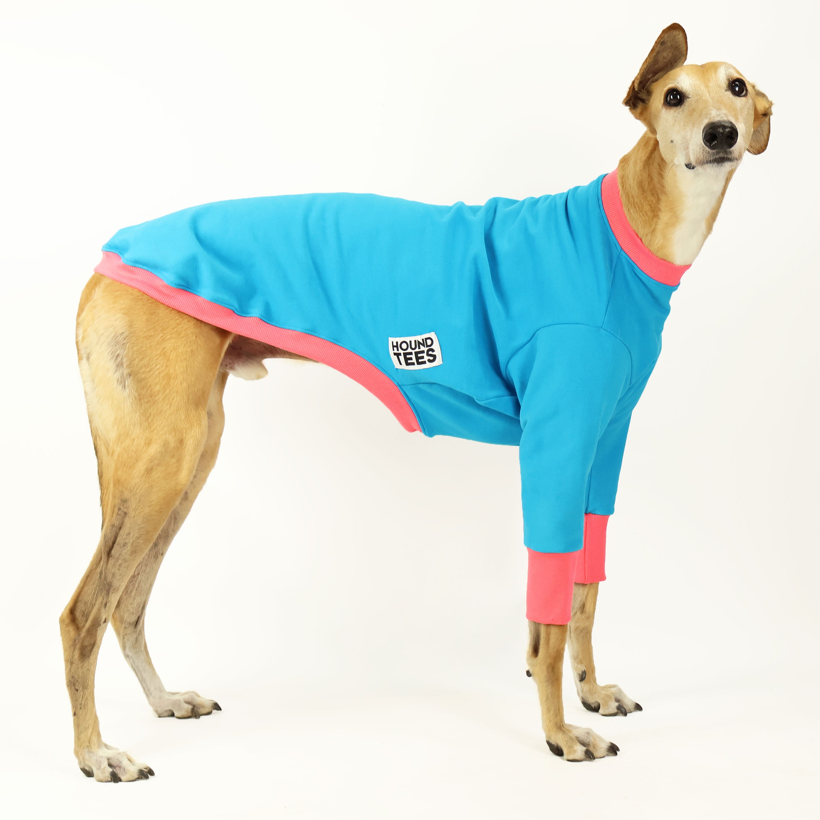Teefs Greyhound Dog Sweater - Cozy Knit Winter Apparel for Small & Medium Dogs - Perfect for Cold Weather & Indoor Comfort