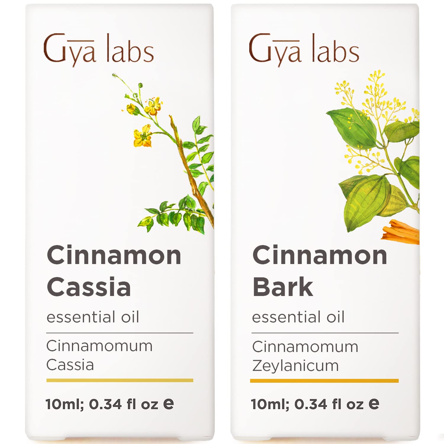 100% Pure Cassia Oil for Hair Growth & Cinnamon Essential Oil for Diffusers - Natural Aromatherapy Set (2x10ml) by Gya Labs - Perfect for Relaxation, Massage & Home Scenting