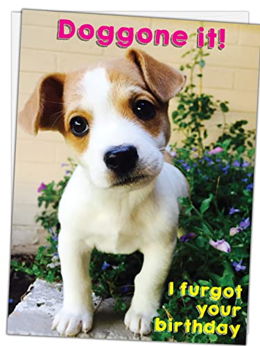 Belated - Jack Russell