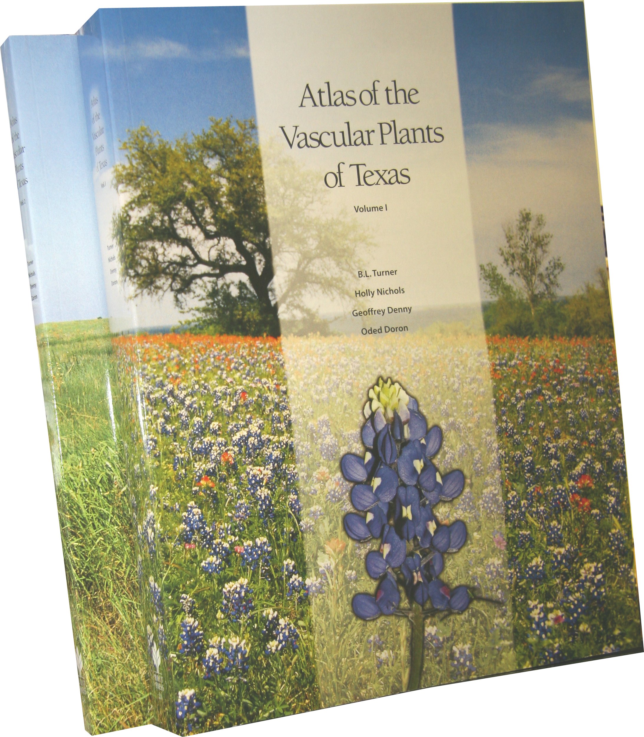 Atlas of the Vascular Plants of Texas Volume 1: Dicots - Comprehensive Botanical Guide for Researchers, Students & Nature Enthusiasts | Perfect for Field Studies, Academic Research & Plant Identification