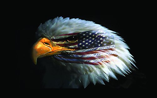 Eagle Eye