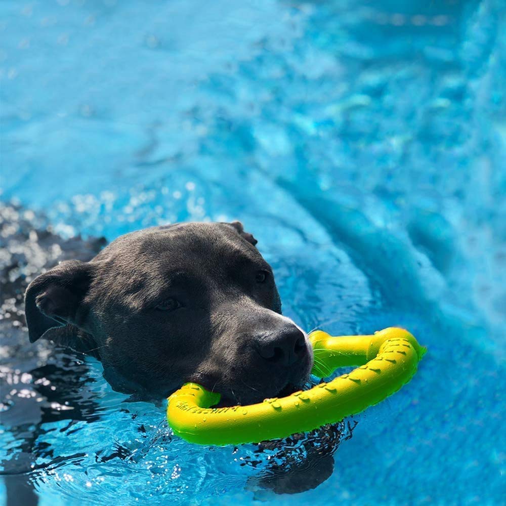 **Durable Dog Toys for Aggressive Chewers - LaRoo Floatable Flying Disc & Tug Toy for Large, Medium, Small Dogs - Interactive Chew Toys for Outdoor Play, Fetch & Training**