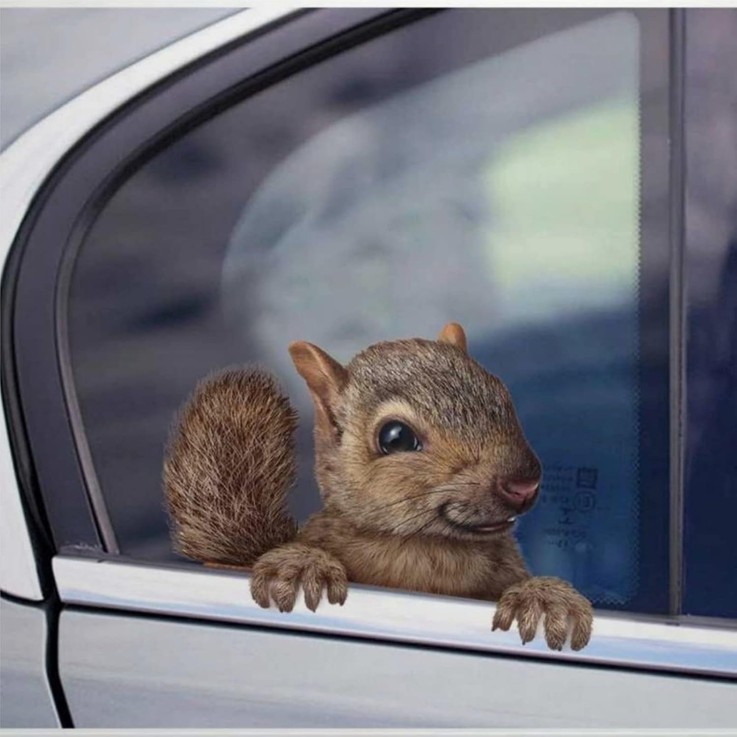 Funny Squirrel Decal Sticker for Car Window - Perfect Gift for Animal Lovers